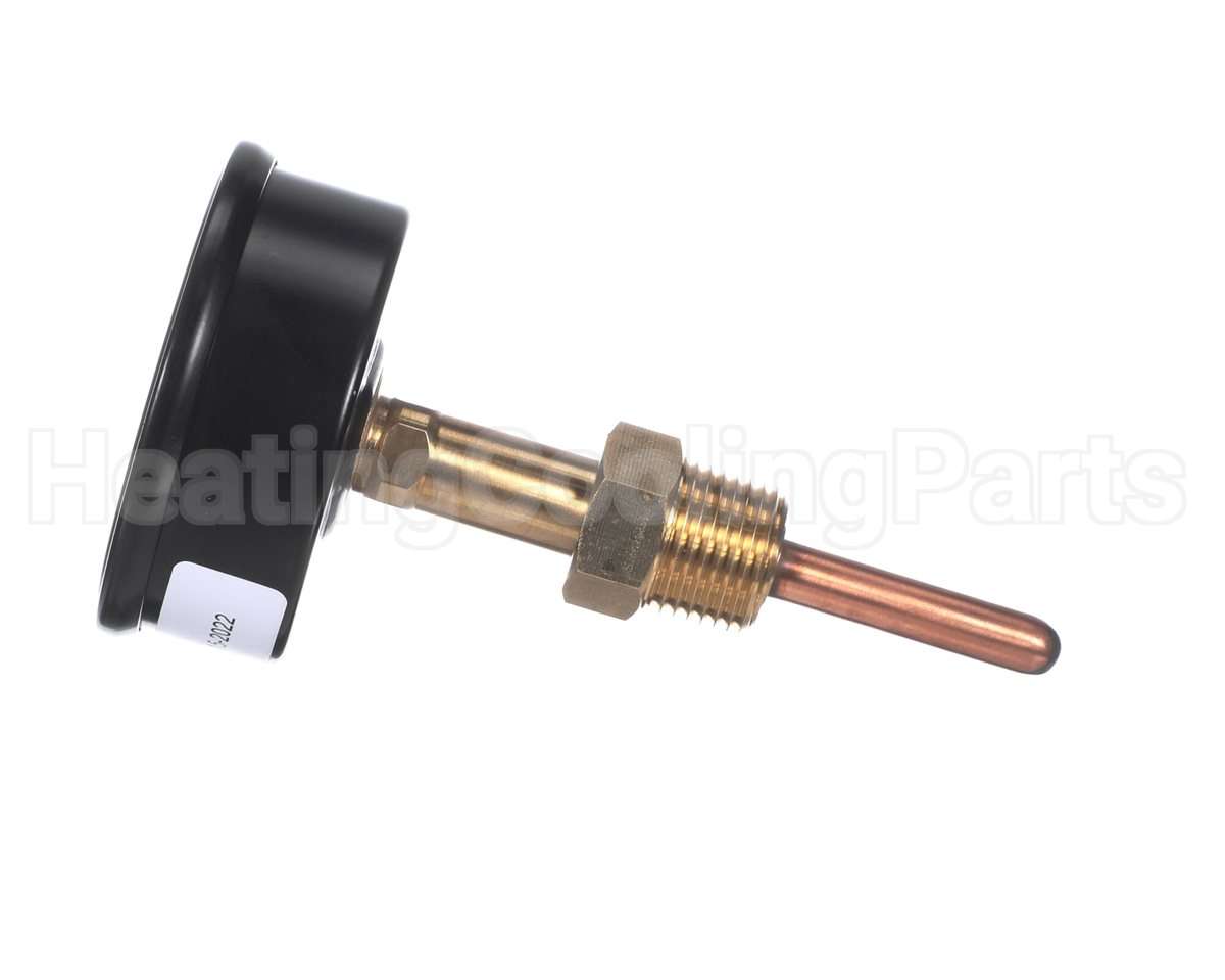 007399F Raypak Trigauge0/200# 70/320F 1/2"Bck