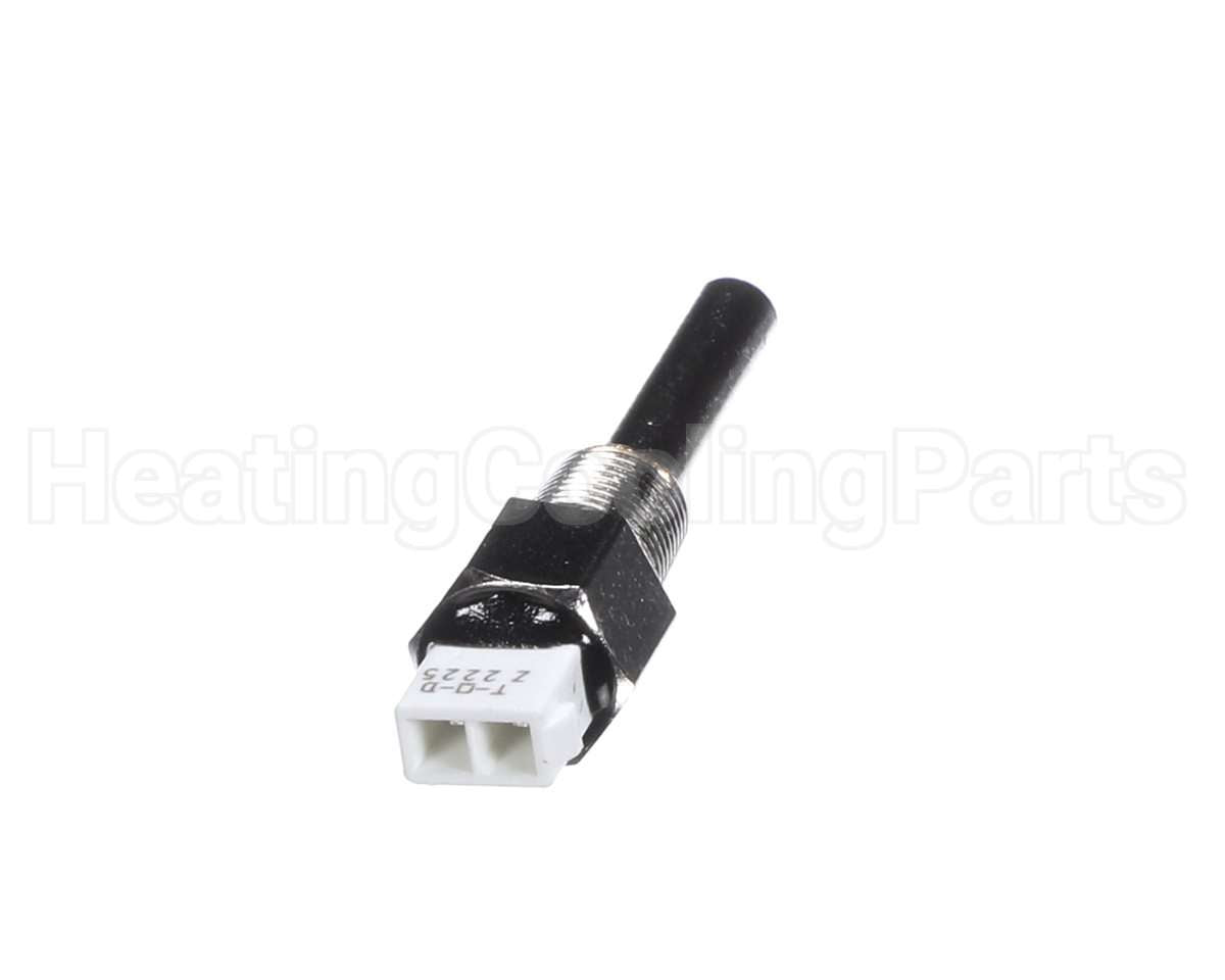 013175F Raypak Inlet Sensor