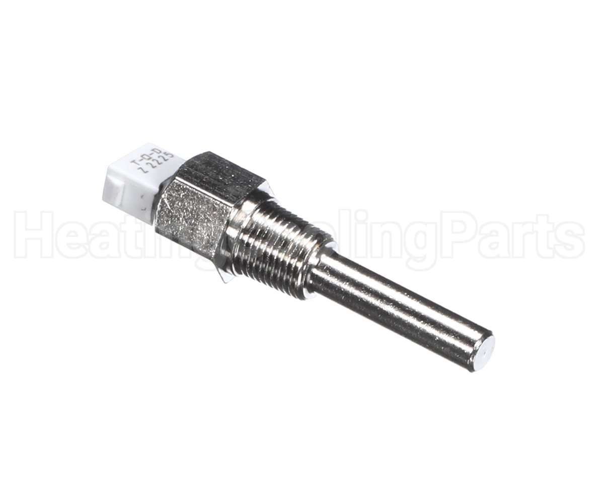 013175F Raypak Inlet Sensor