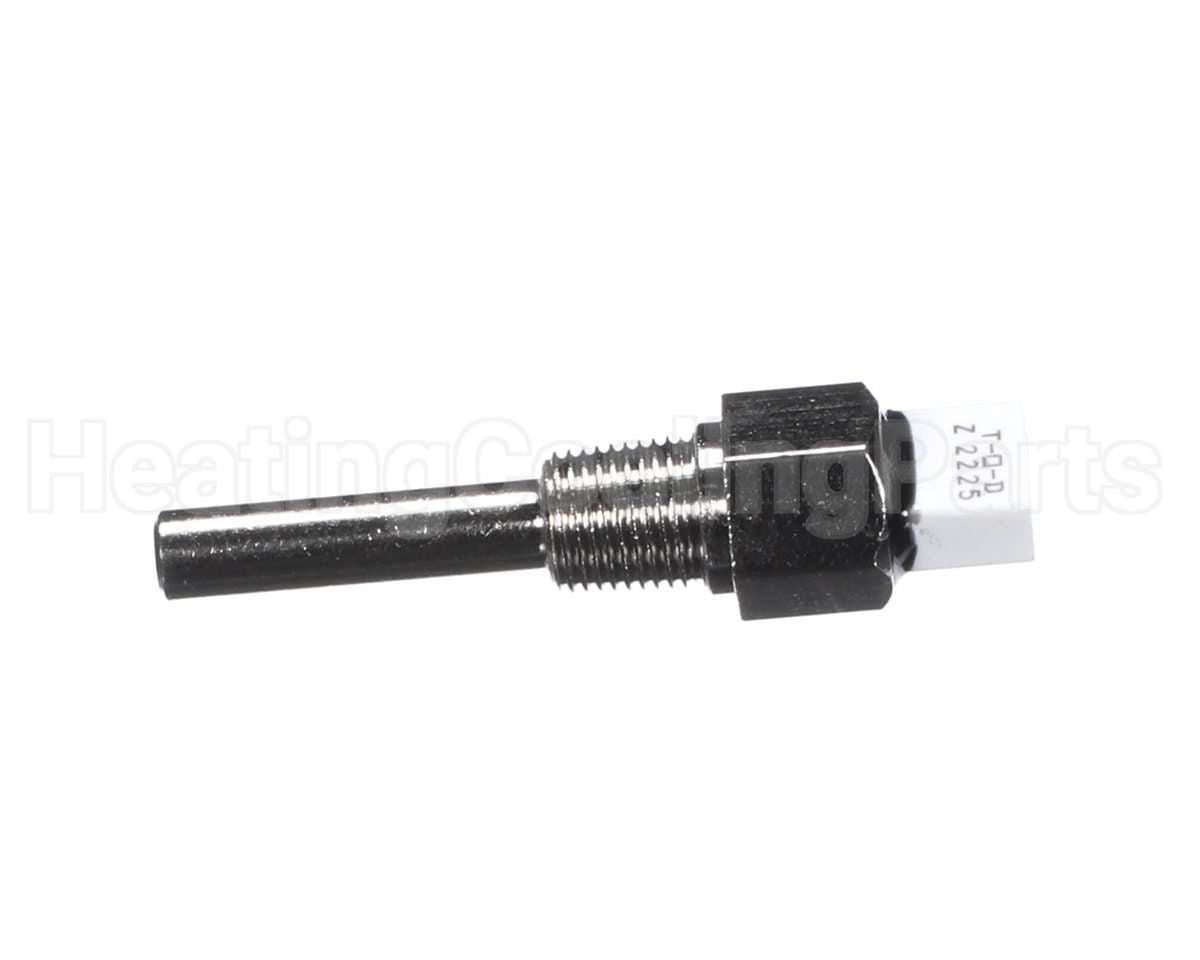 013175F Raypak Inlet Sensor