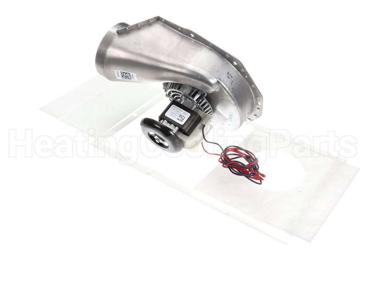 0131G00093S Amana-Goodman 230V Inducer Blower Assy