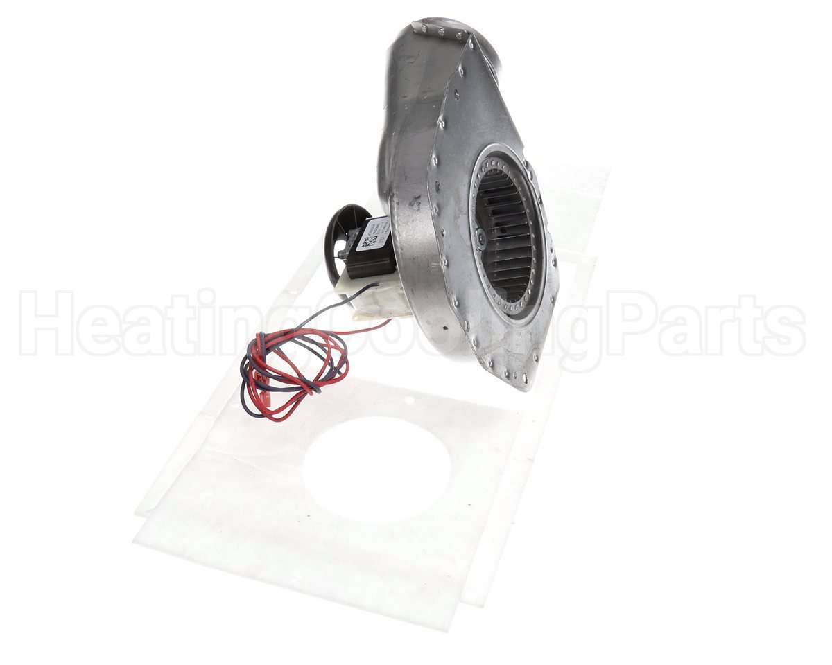 0131G00093S Amana-Goodman 230V Inducer Blower Assy