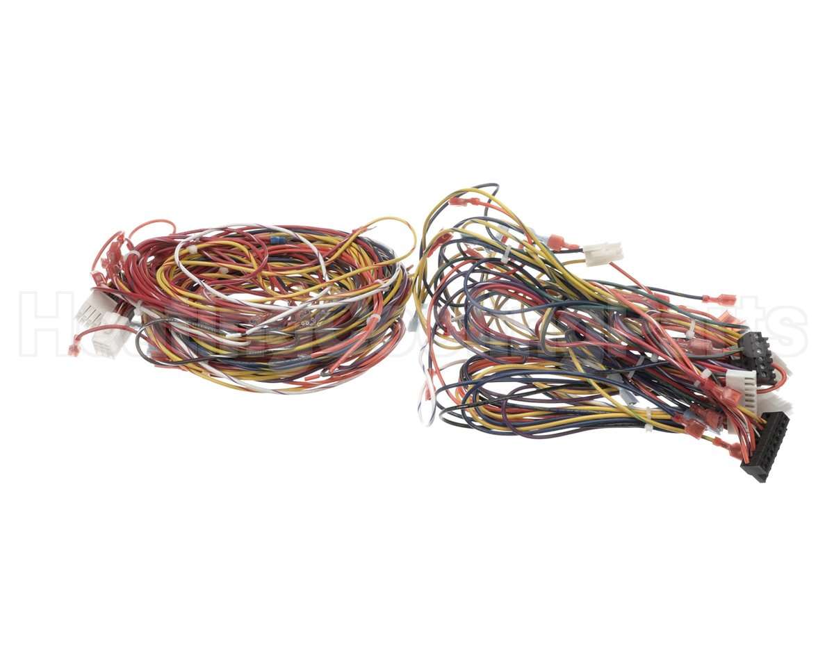 014680F Raypak Wire Harness