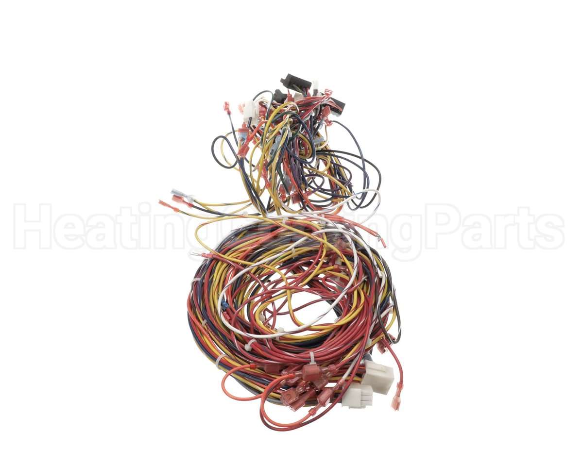 014680F Raypak Wire Harness
