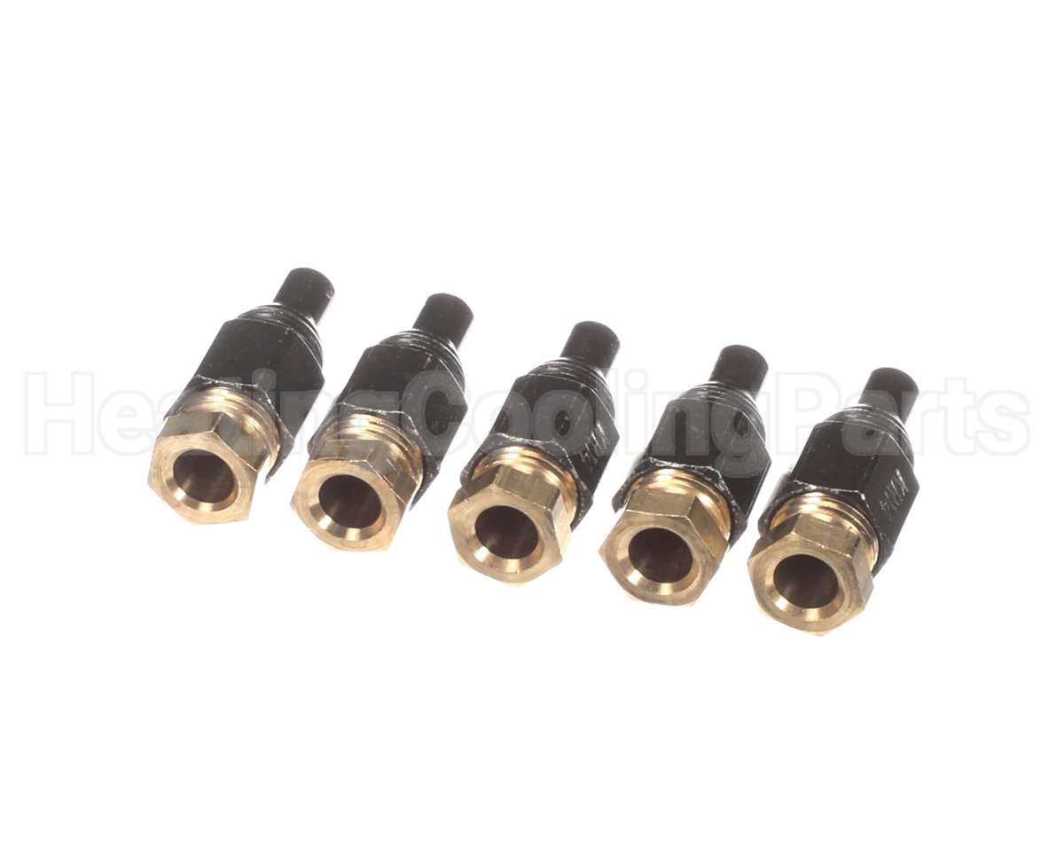 100-10000650 Raypak Orifice Pro #79 (.014) 5 Pcs
