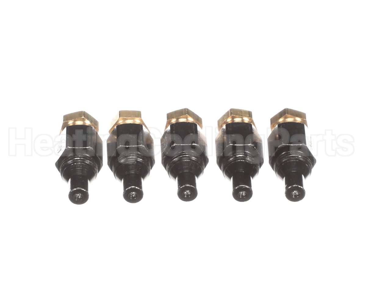 100-10000650 Raypak Orifice Pro #79 (.014) 5 Pcs