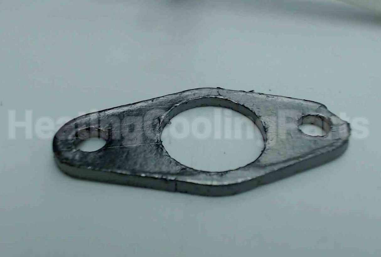 100165923 Lochinvar & A.o. Smith Flame Sensor With Gasket