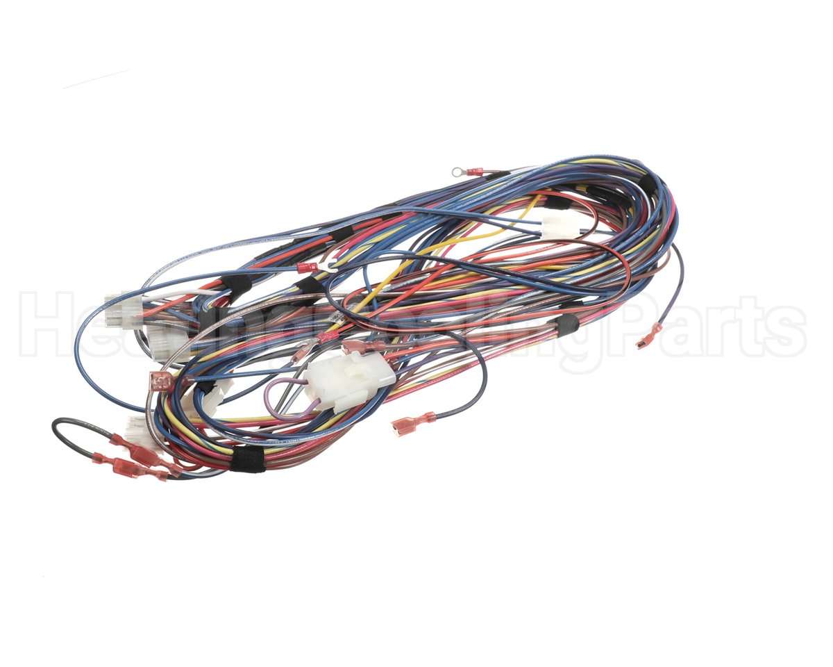 100173240 Lochinvar & A.o. Smith Harnesswire24Vpb/Pf