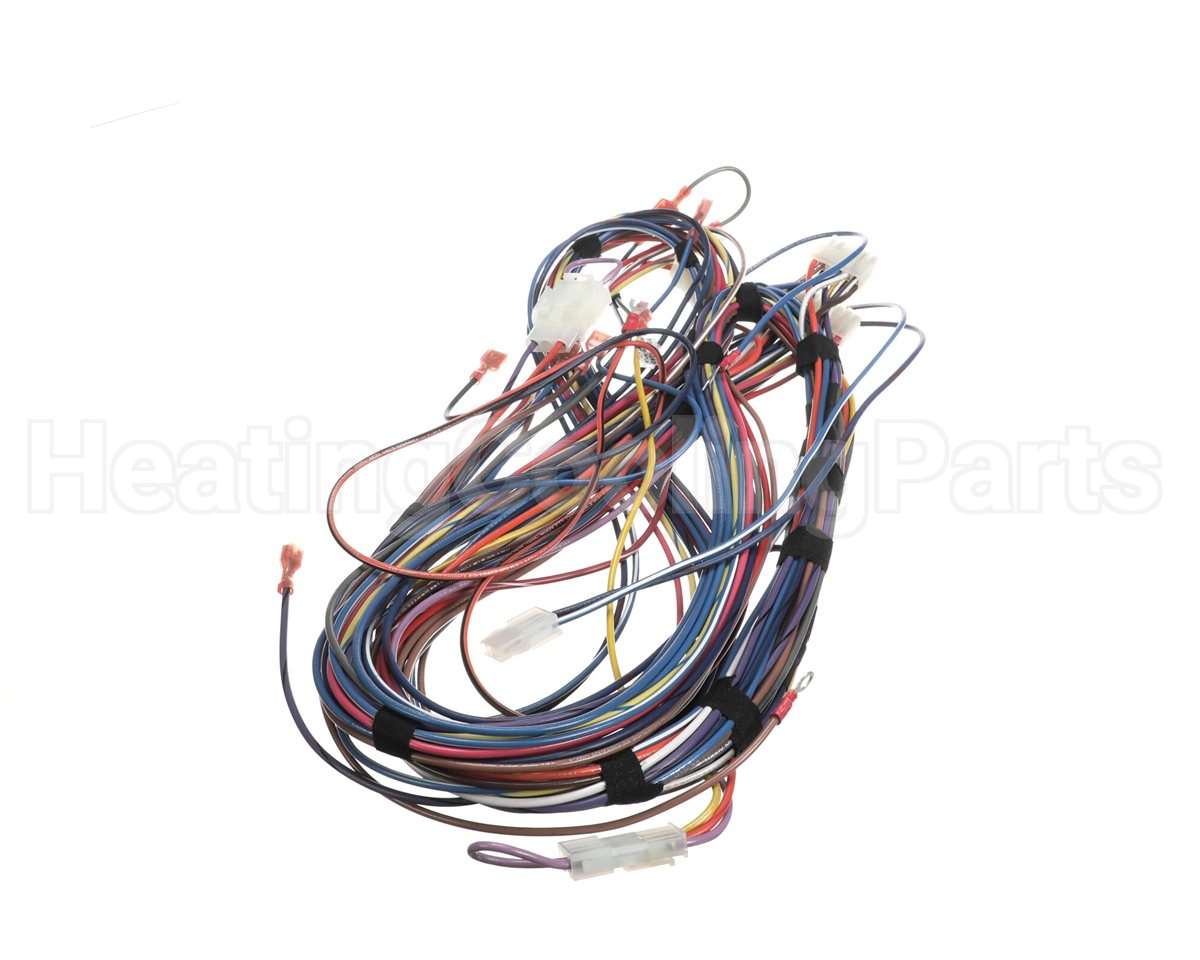 100173240 Lochinvar & A.o. Smith Harnesswire24Vpb/Pf