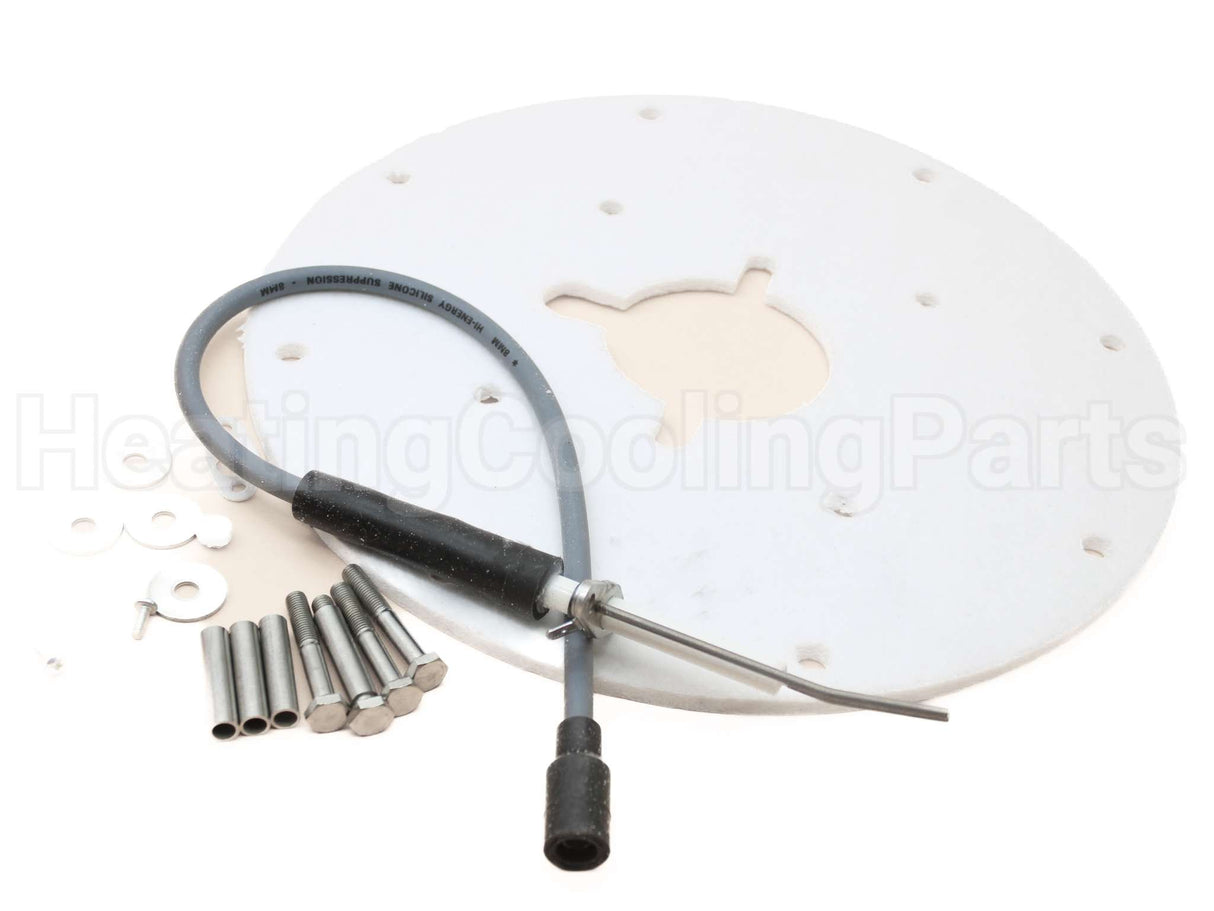 100187881 Lochinvar & A.o. Smith Spark Ignitor Assembly