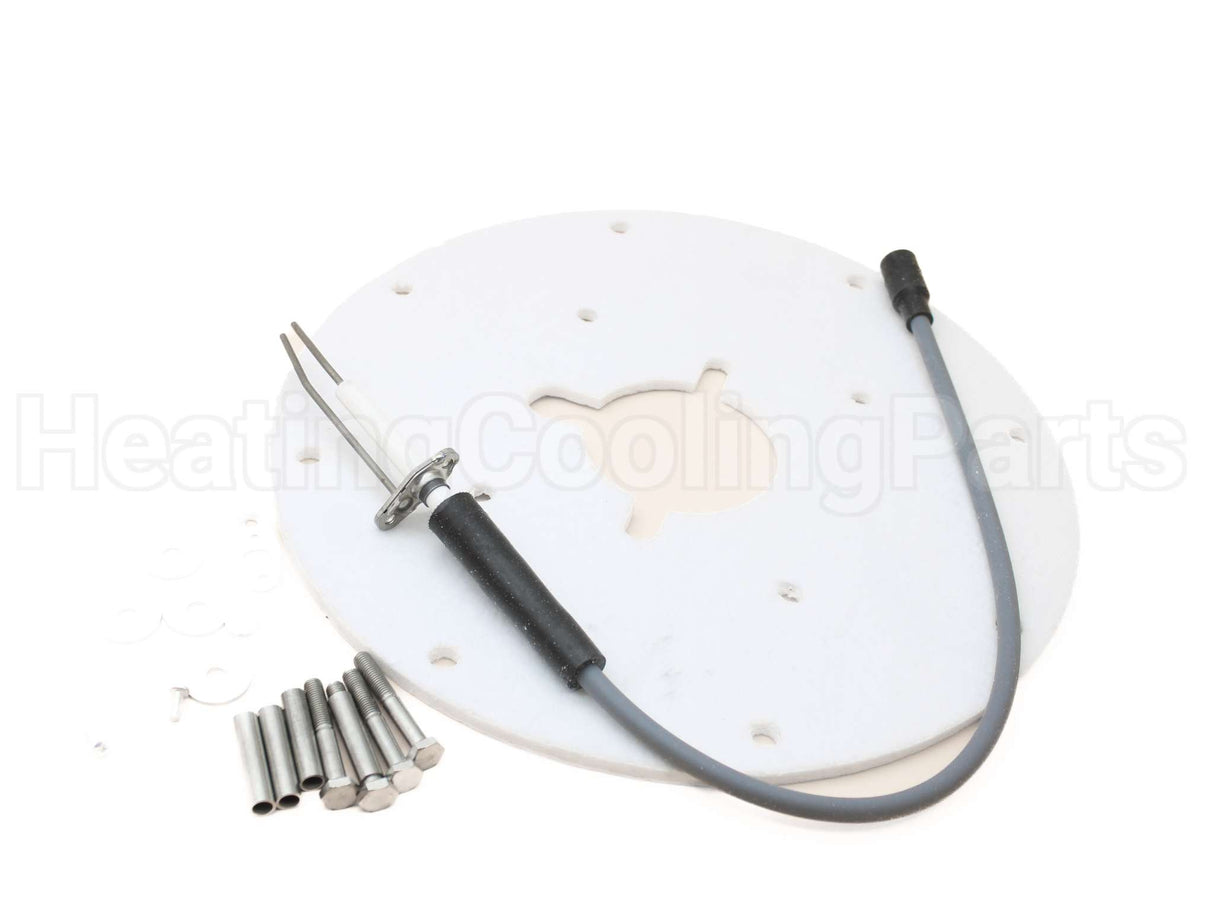 100187881 Lochinvar & A.o. Smith Spark Ignitor Assembly