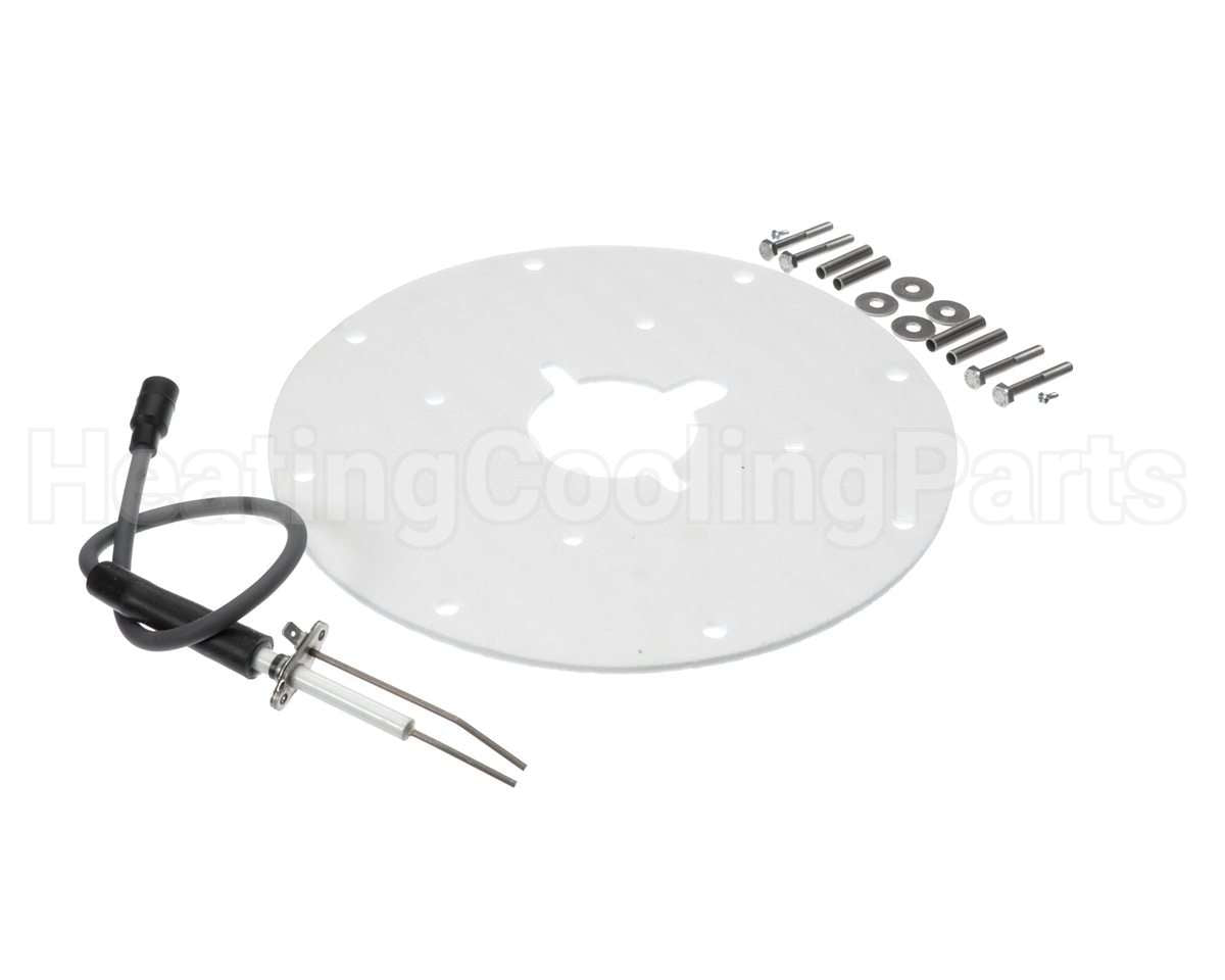 100187881 Lochinvar & A.o. Smith Spark Ignitor Assembly