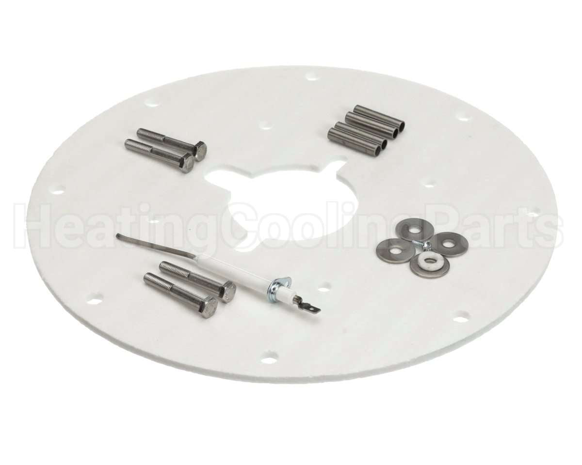 100187882 Lochinvar & A.o. Smith Flame Sensor