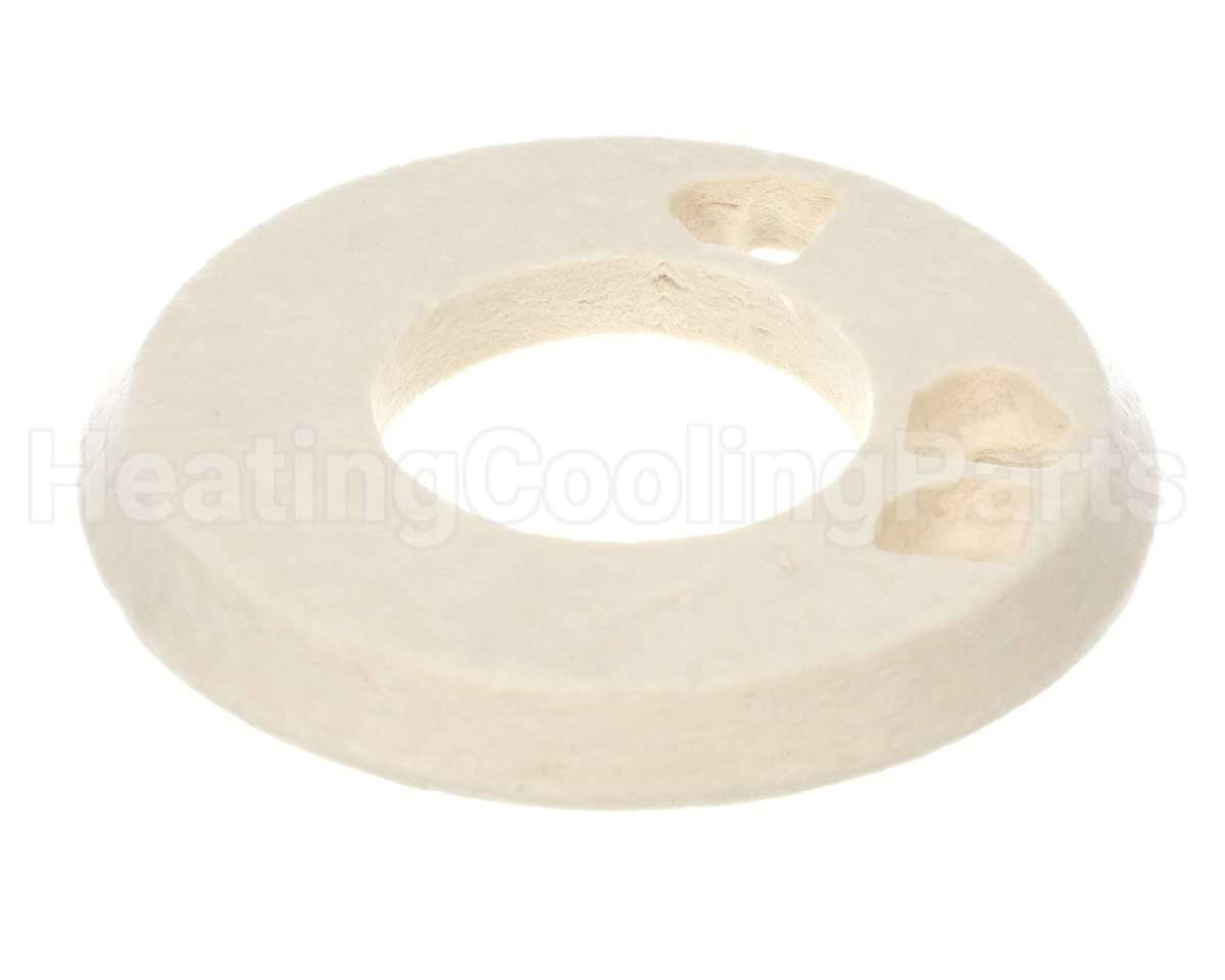 100208059 Lochinvar & A.o. Smith Door Insulation