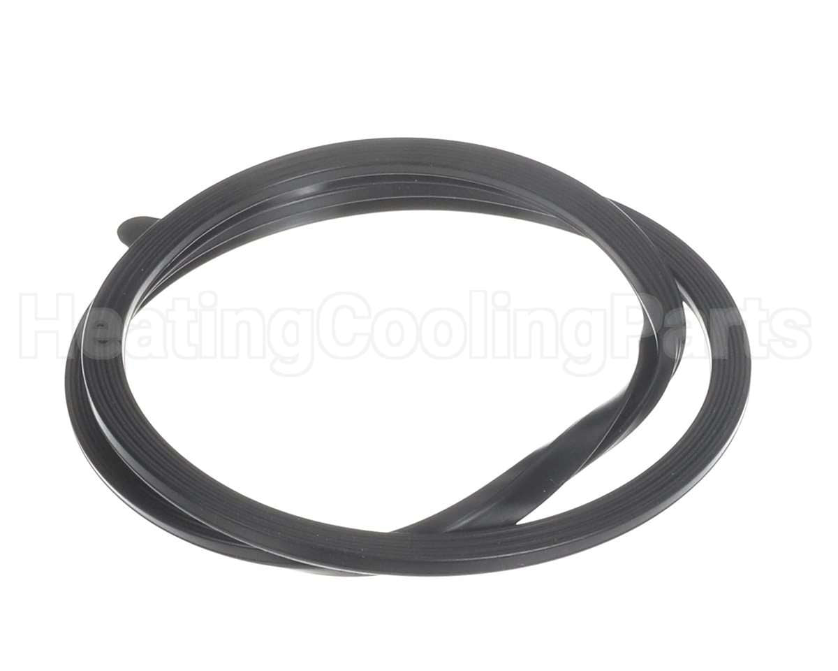100208093 Lochinvar & A.o. Smith Door Gasket