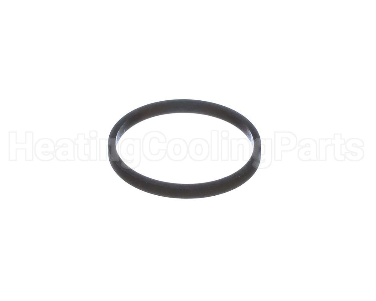 100208099 Lochinvar & A.o. Smith Element Gasket