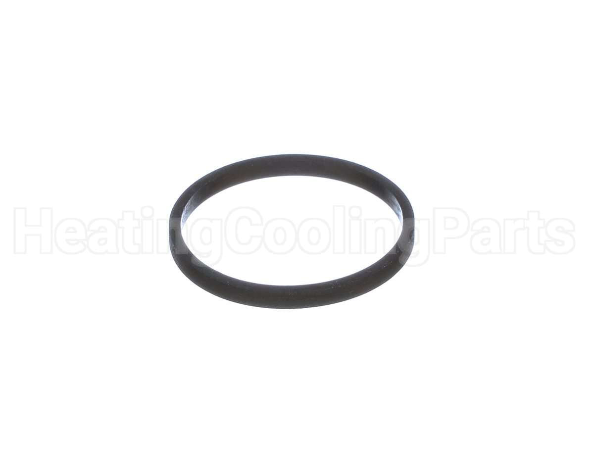 100208099 Lochinvar & A.o. Smith Element Gasket