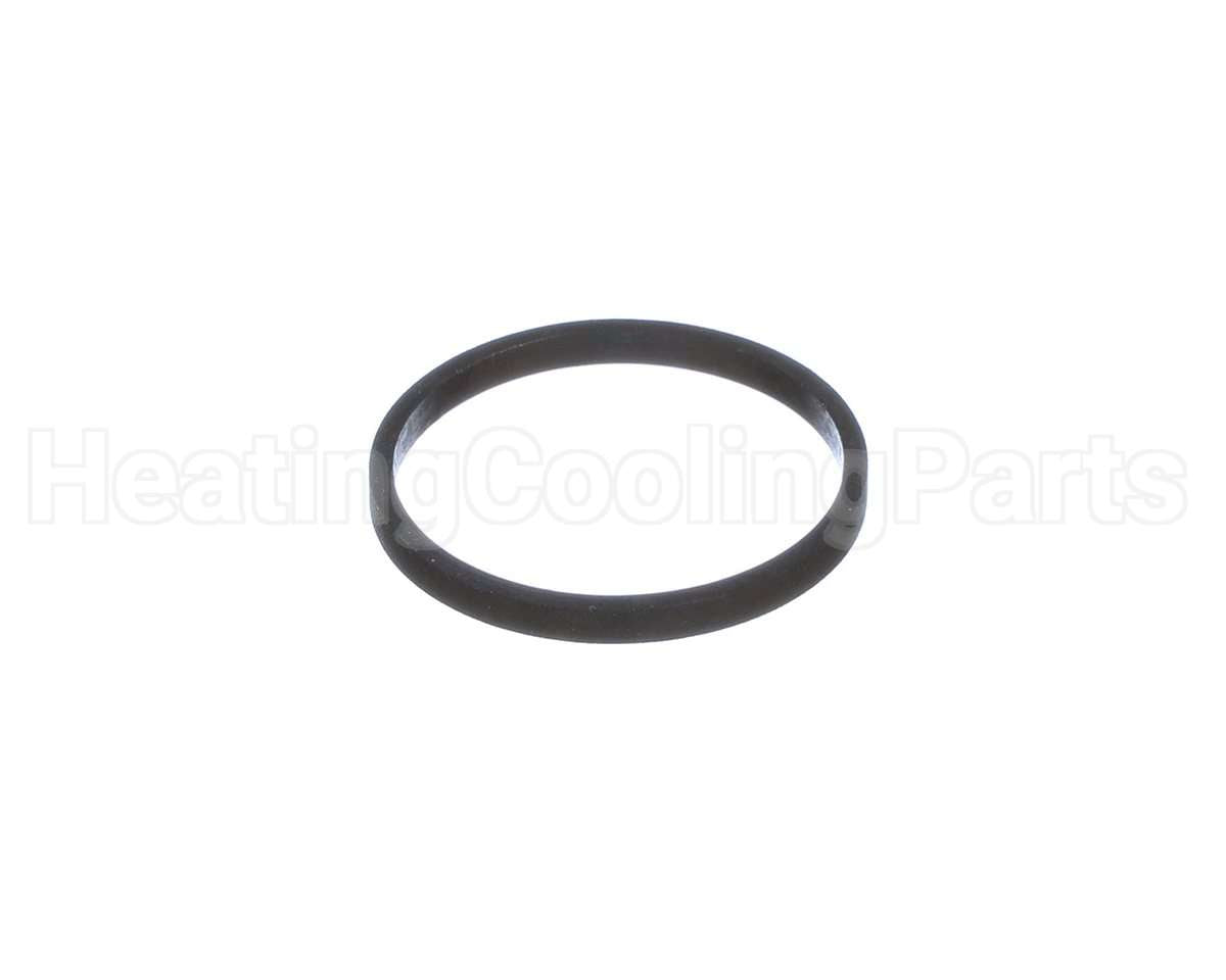 100208099 Lochinvar & A.o. Smith Element Gasket