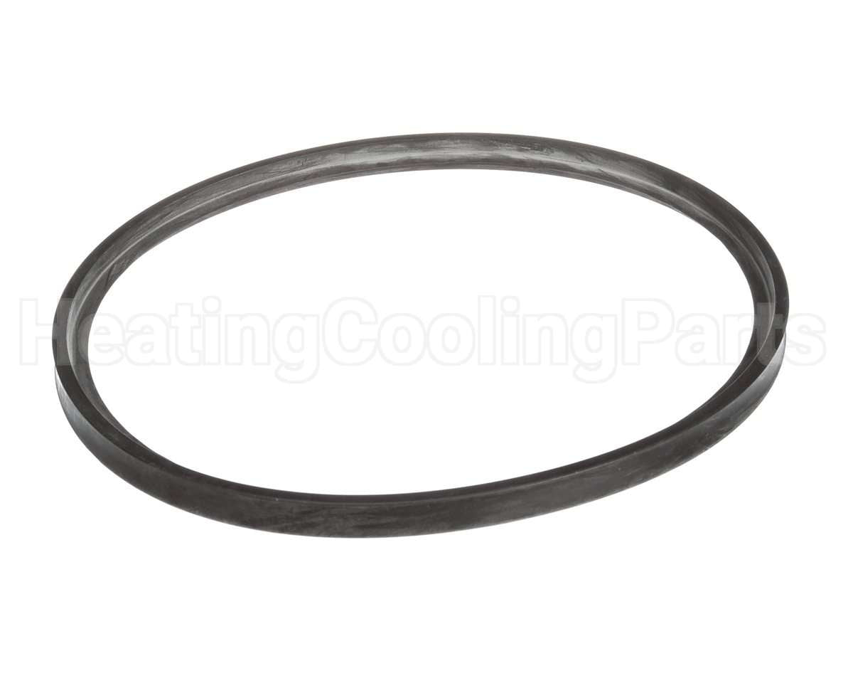 100233597 Lochinvar & A.o. Smith Flue Gasket