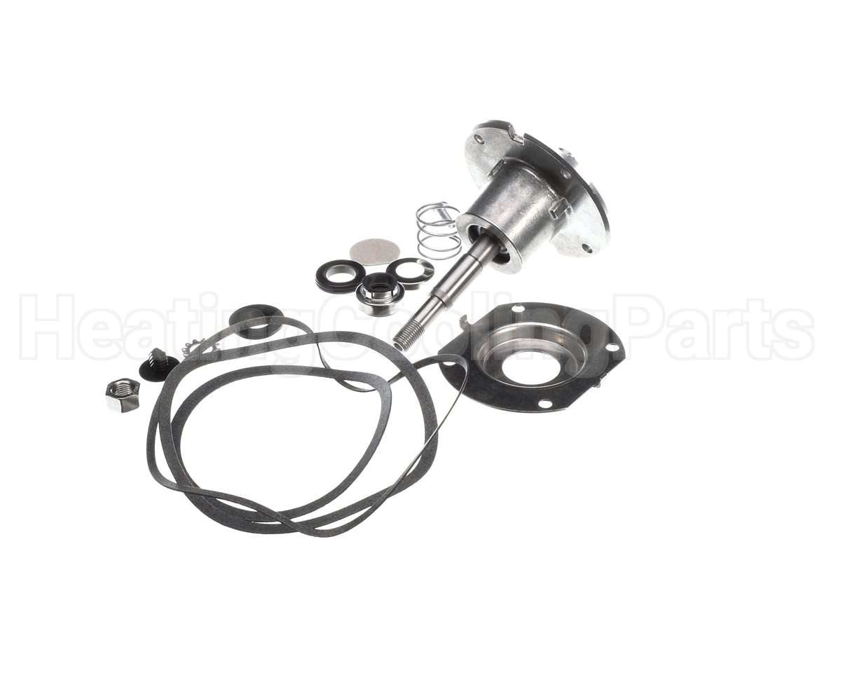 100277757 Lochinvar & A.o. Smith Pump Bearing Module Kit