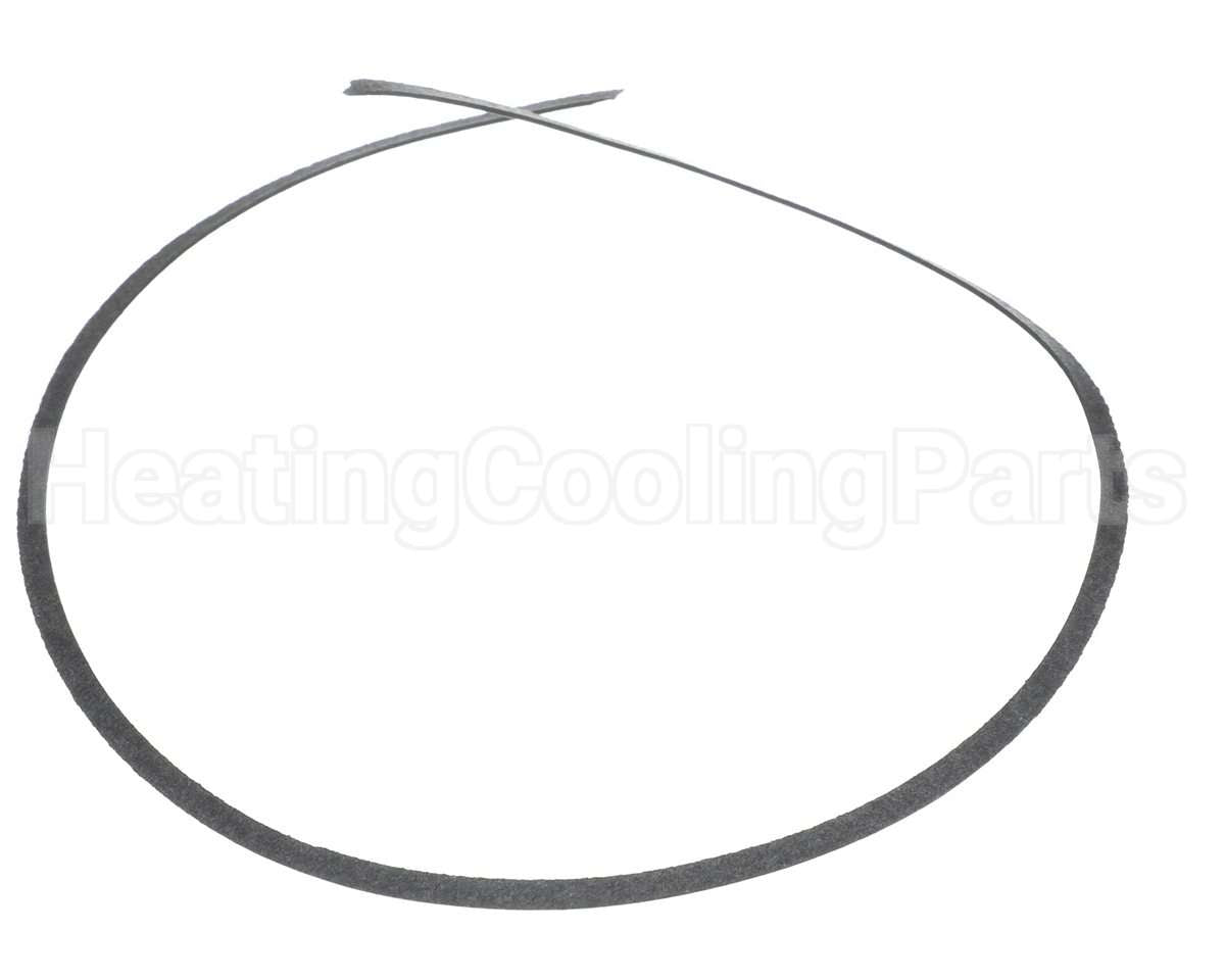 100277953 Lochinvar & A.o. Smith Volute Gasket