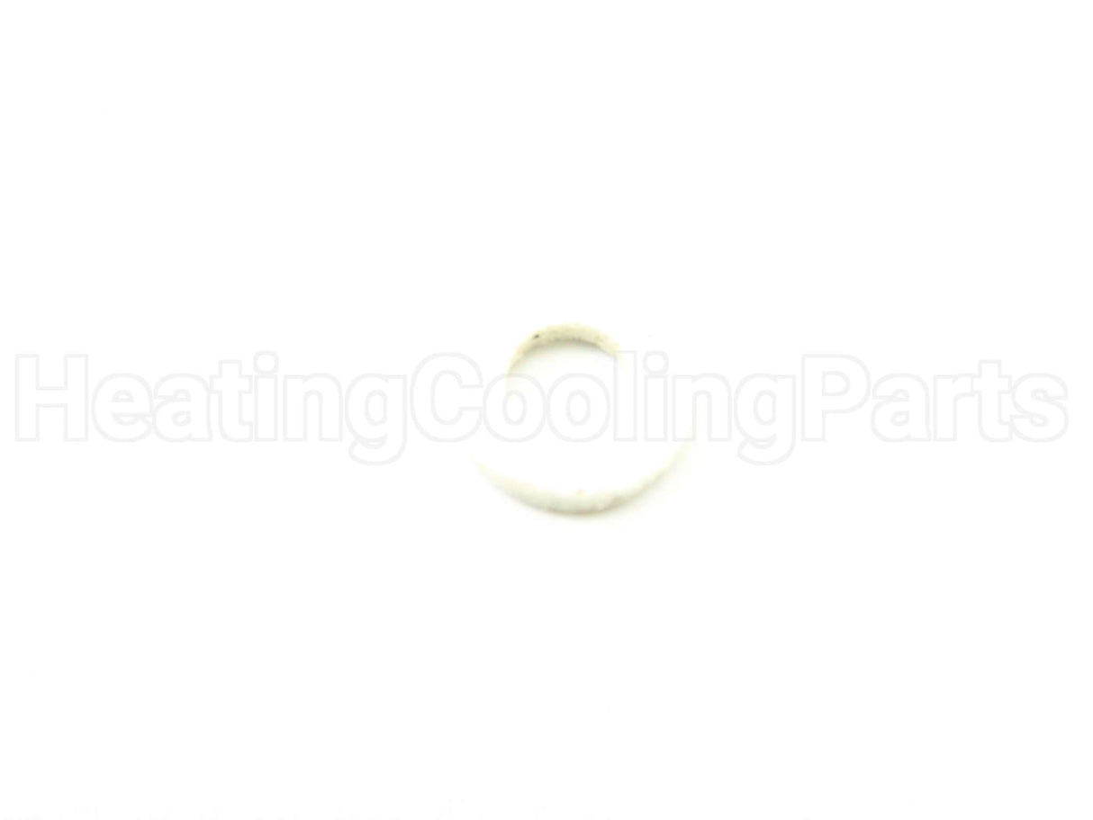 100338897 Lochinvar & A.o. Smith Flame Rod Gasket