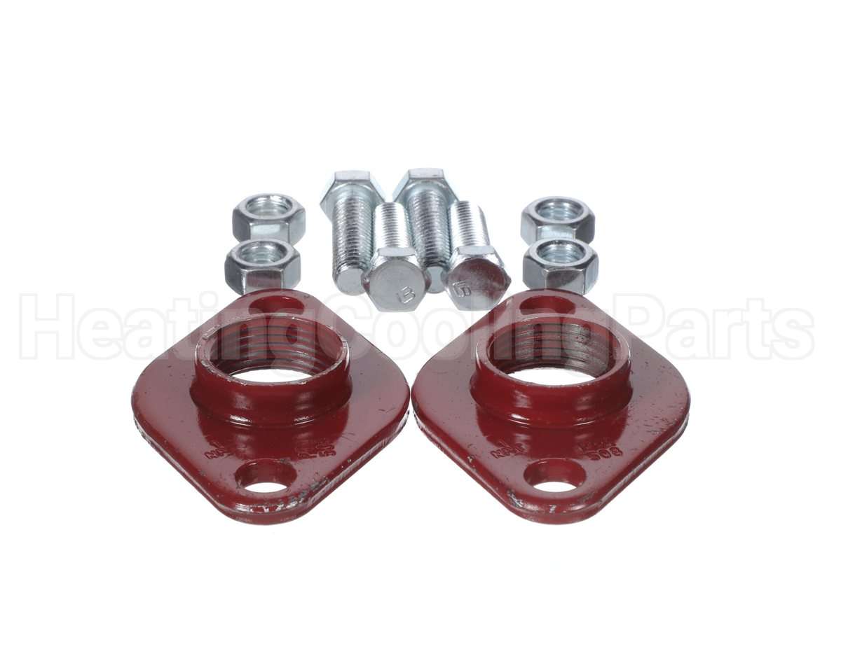 101002 Xylem-Bell & Gossett Std 1" Flange (1 Set)