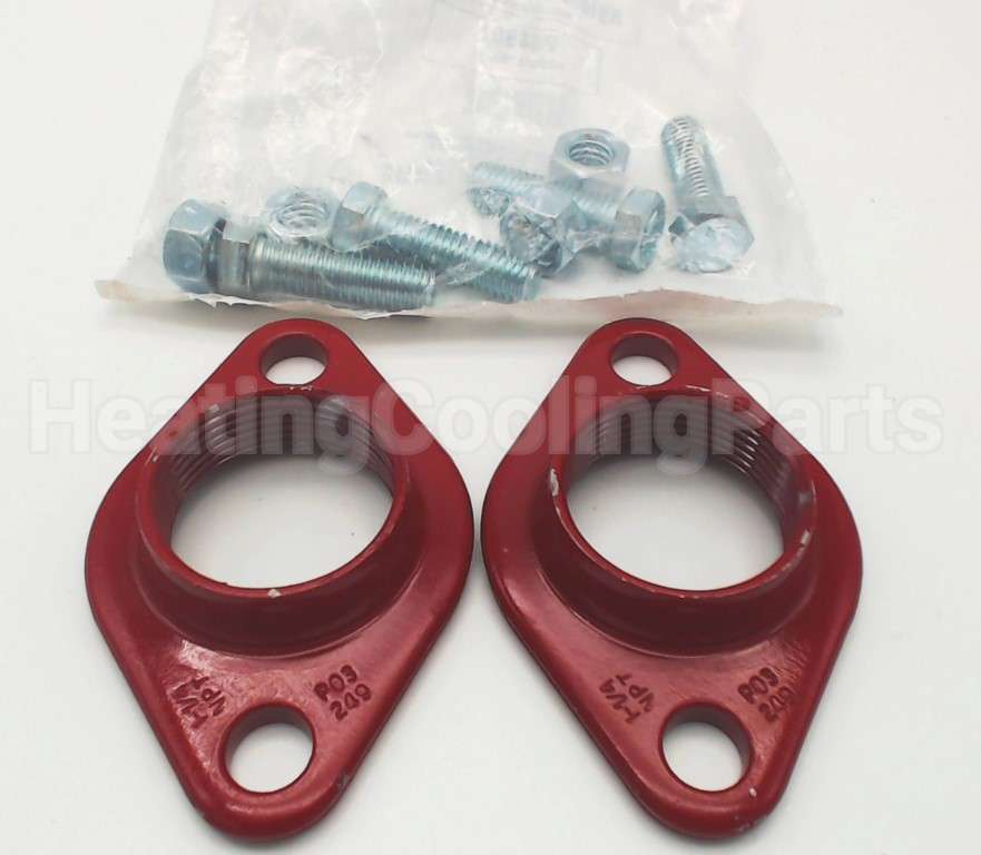 101003 Xylem-Bell & Gossett Std Flg. 1 1/4" (1 Set)