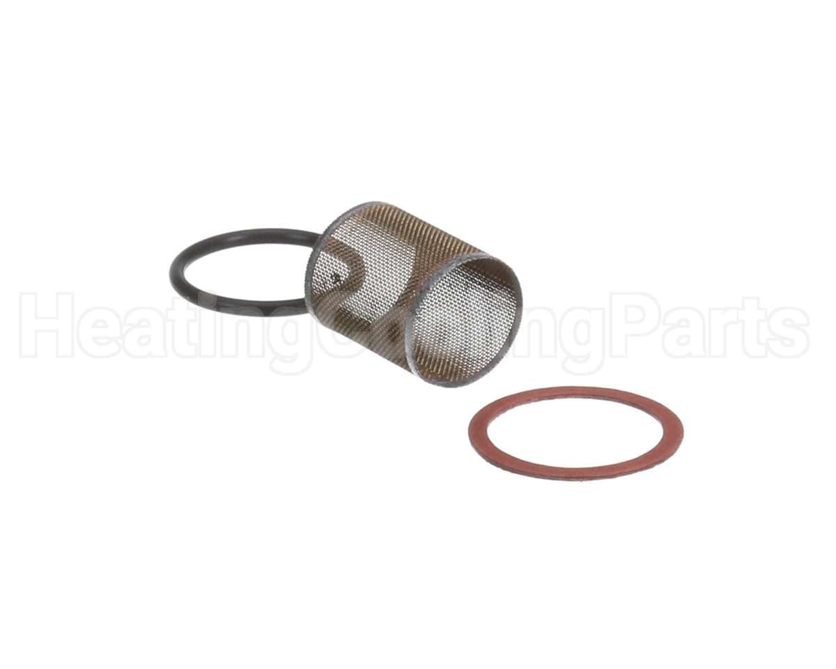 189160 Xylem-Bell & Gossett Strainer & Gasket For B7-12