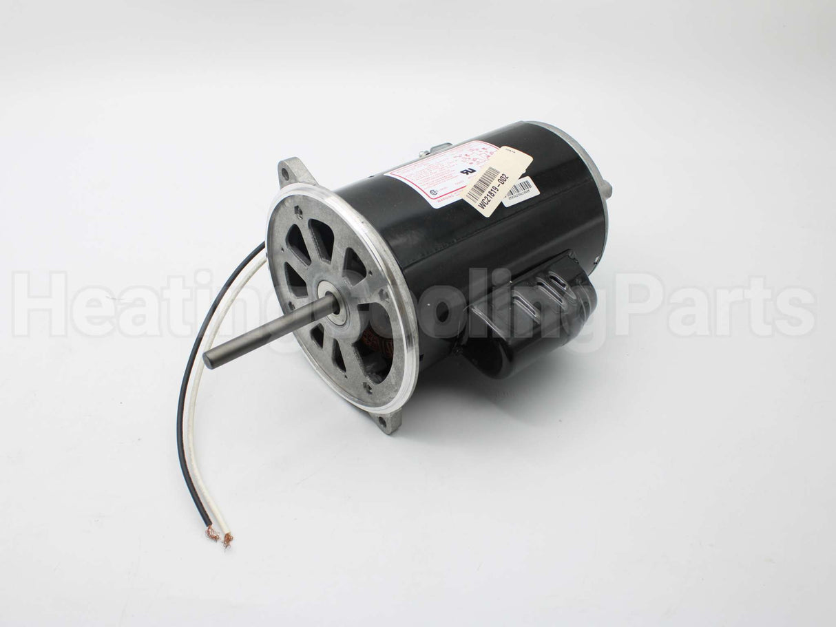 21819-002 Wayne Combustion Motor 1/2 120/230/50-60