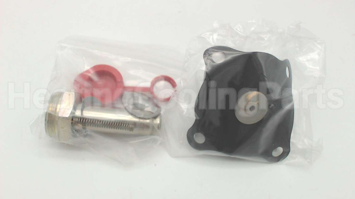 302-276-V Asco Repair Kit