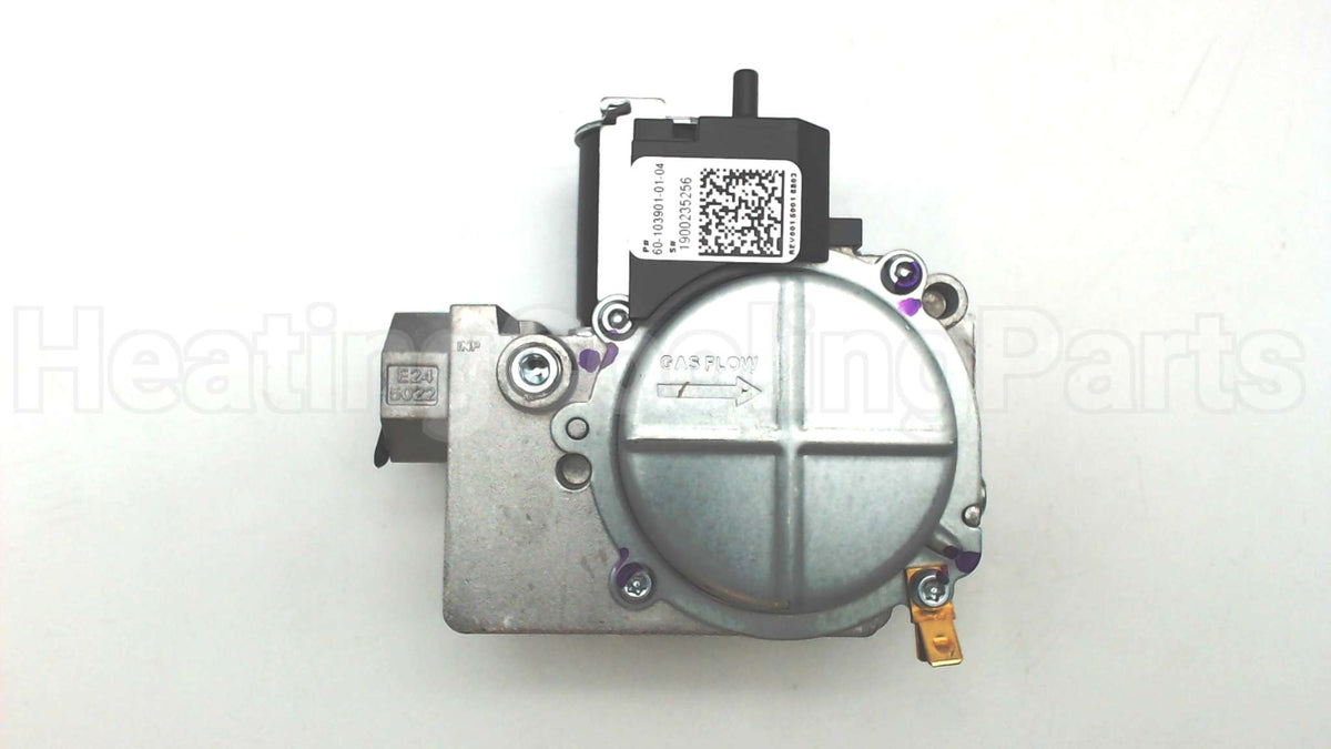 60-103901-01 Rheem-Ruud Natural Gas Valve