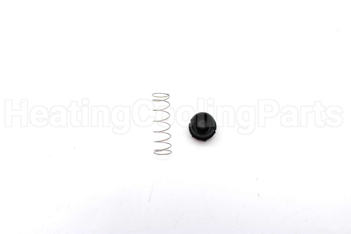 607016 Rheem-Ruud Lp To Nat Gas Valve Spring Kit