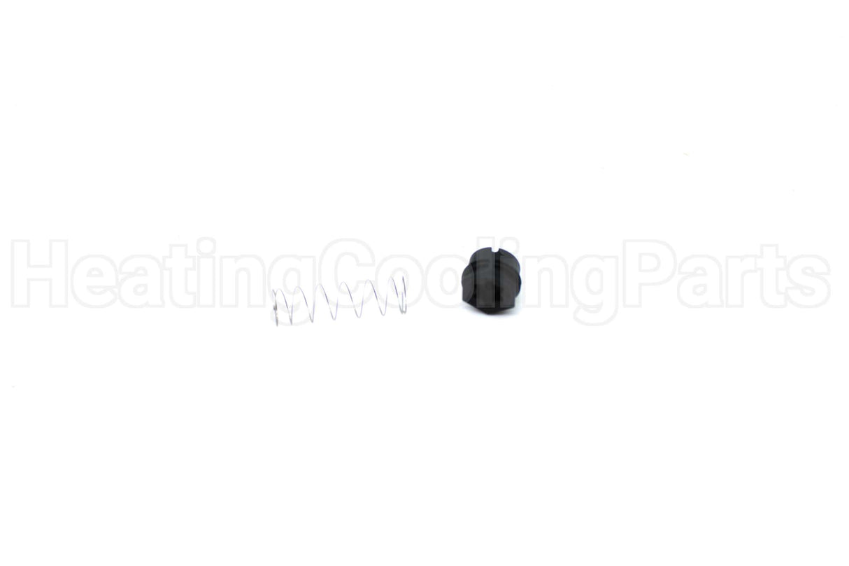 607016 Rheem-Ruud Lp To Nat Gas Valve Spring Kit