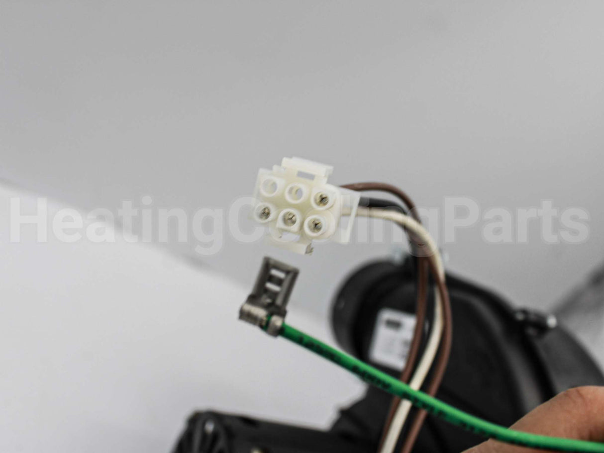 70-102691-81 Rheem-Ruud 120V Induced Draft Blwr W/Gskt