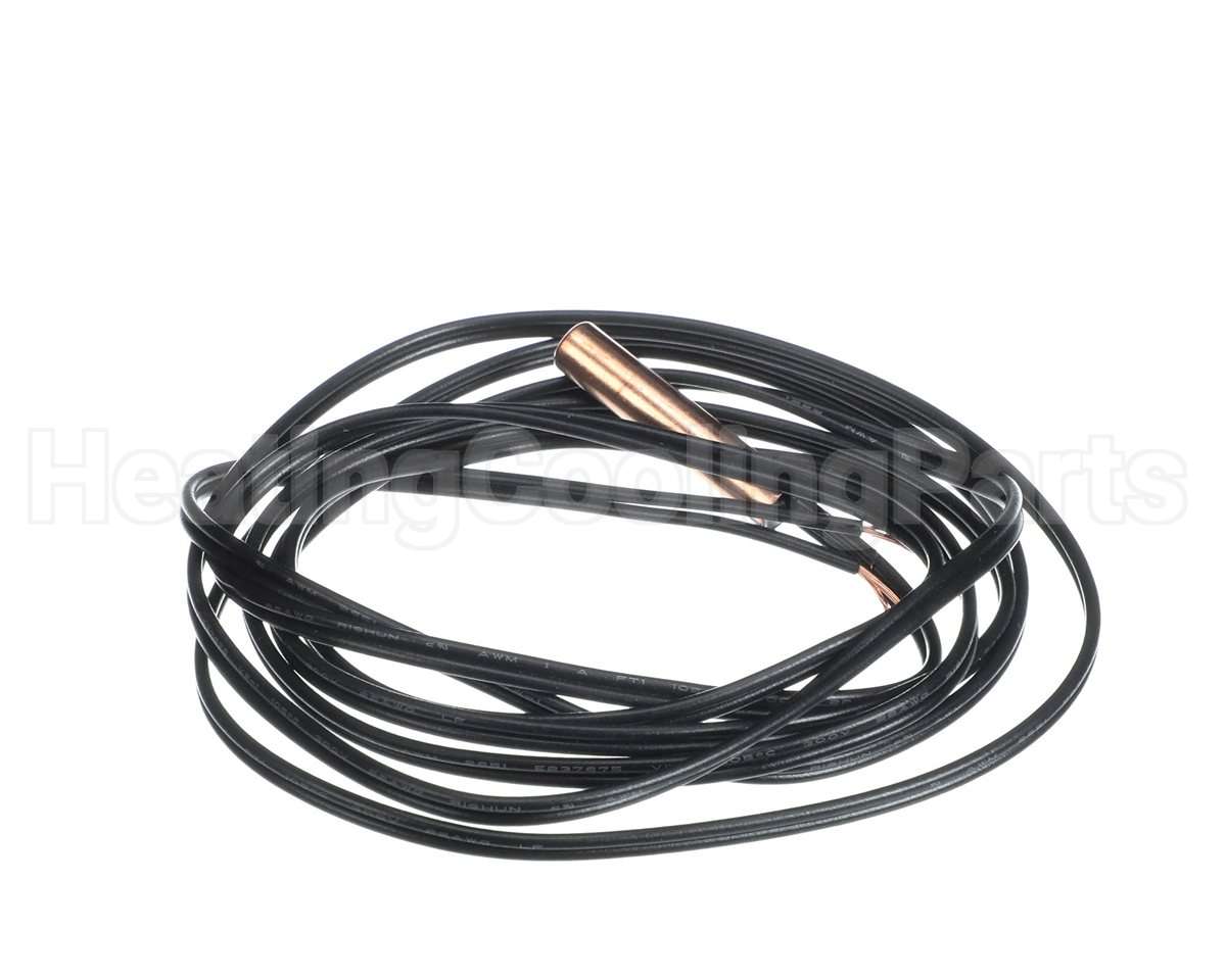 70289342 International Environmental Tstat Sensor Probe
