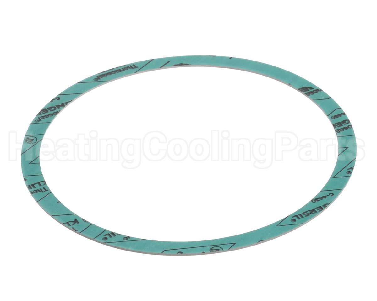8426401-002 Armstrong 6" Casinig Gasket