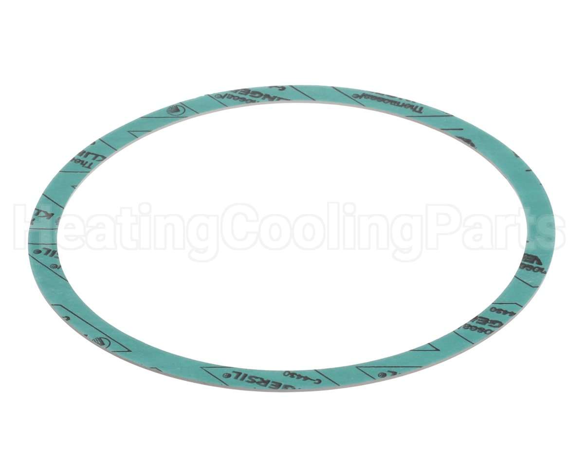 8426401-002 Armstrong 6" Casinig Gasket