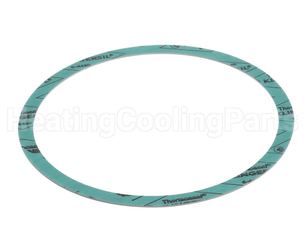 8426401-002 Armstrong 6" Casinig Gasket