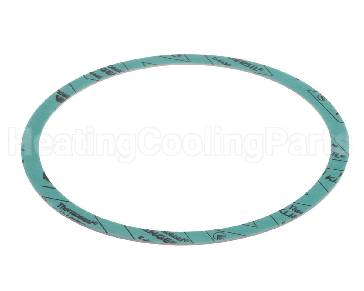 8426401-002 Armstrong 6" Casinig Gasket