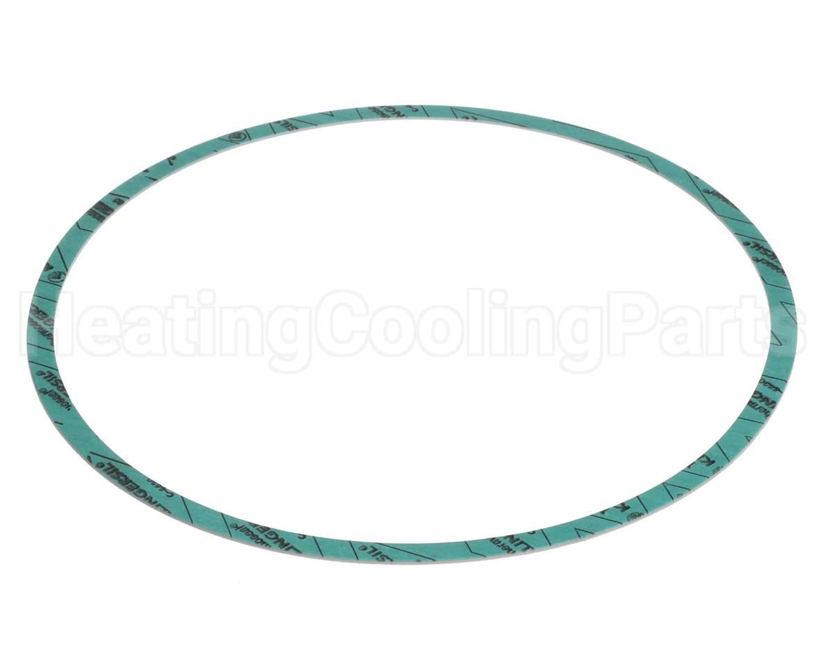 8426401-004 Armstrong Fluid Technology Gasket-Casing 10"