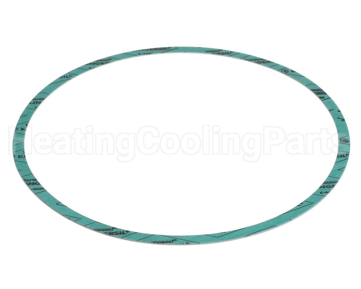 8426401-004 Armstrong Fluid Technology Gasket-Casing 10"