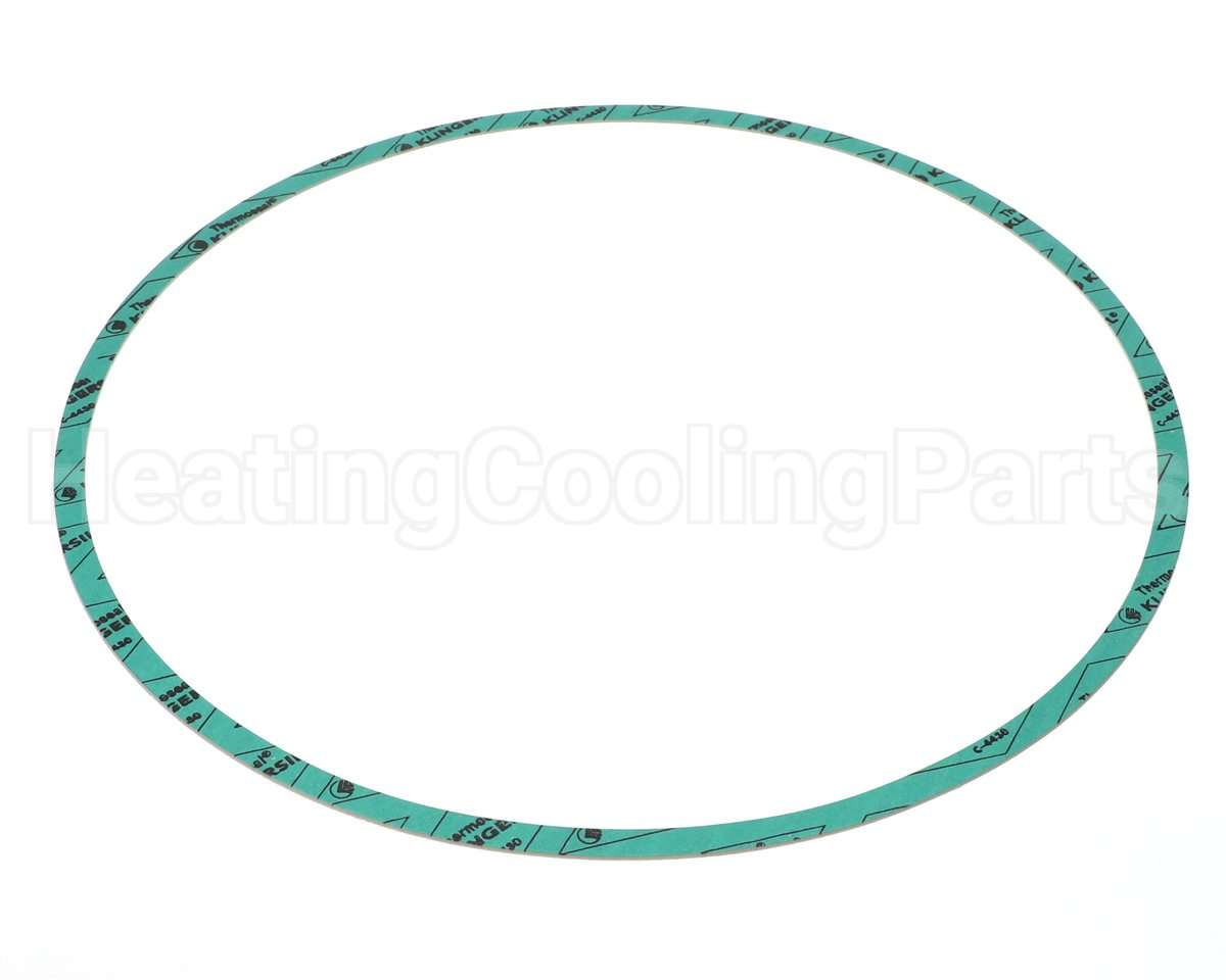 8426401-005 Armstrong Fluid Technology 13" Nitrile Gasket