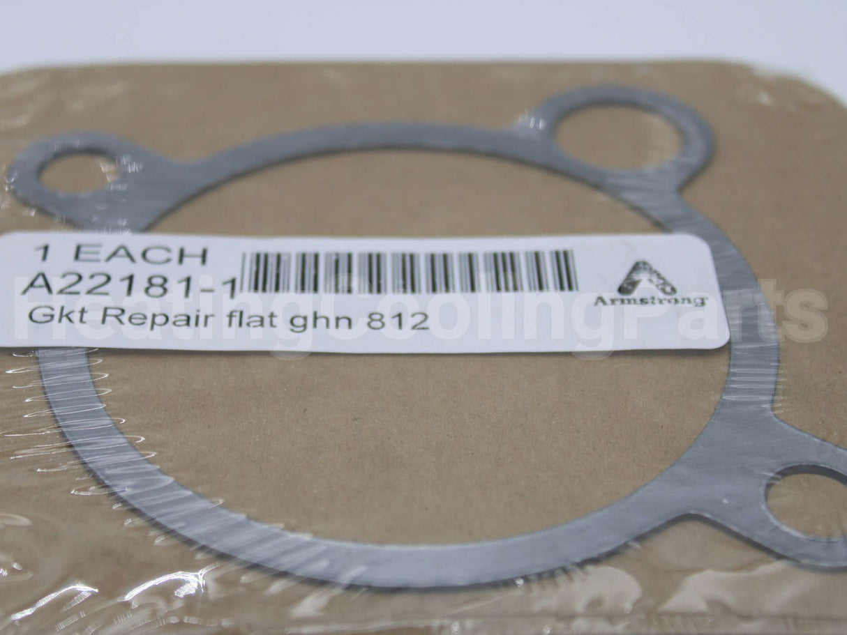 A22181-1 Armstrong International Gasket F/812,882