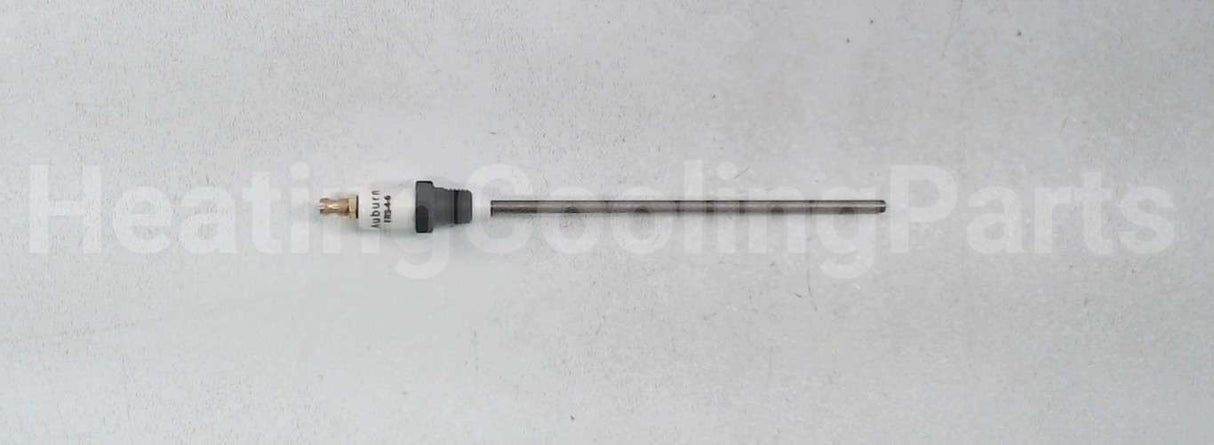 E5-FRS-4-6 Auburn 6" Flame Rod 1/4"Npt Mtg