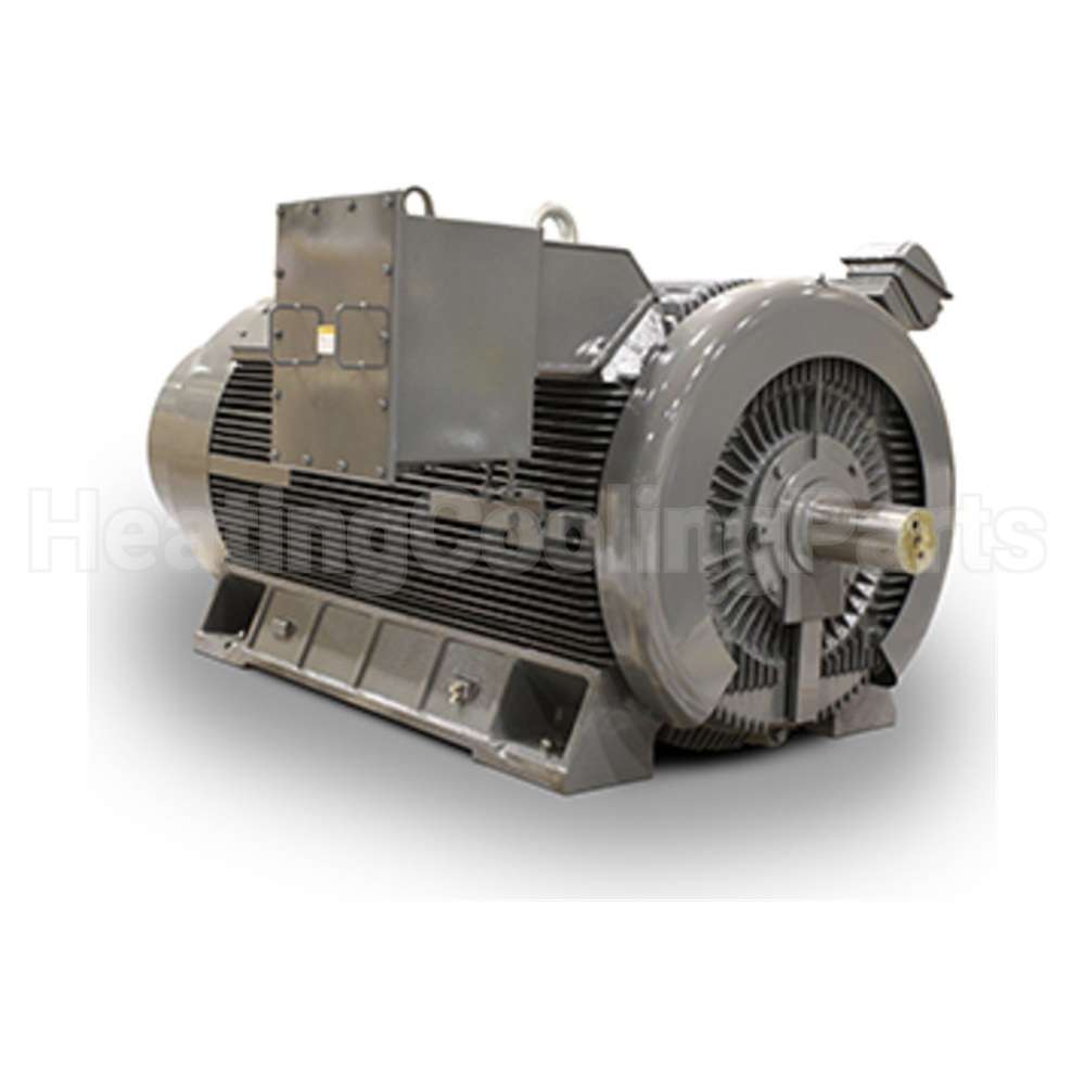 JH08008 Teco Medium Voltage Motor