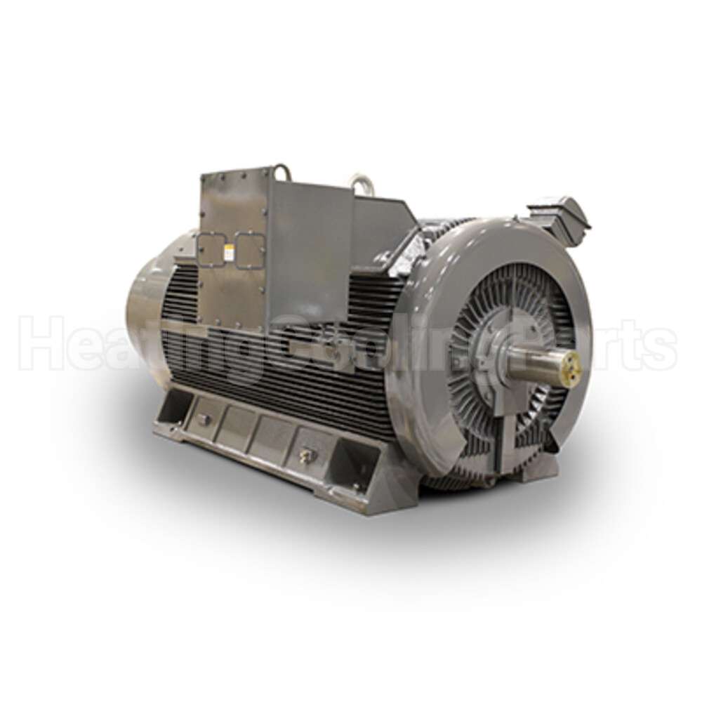 JH09008 Teco Medium Voltage Motor