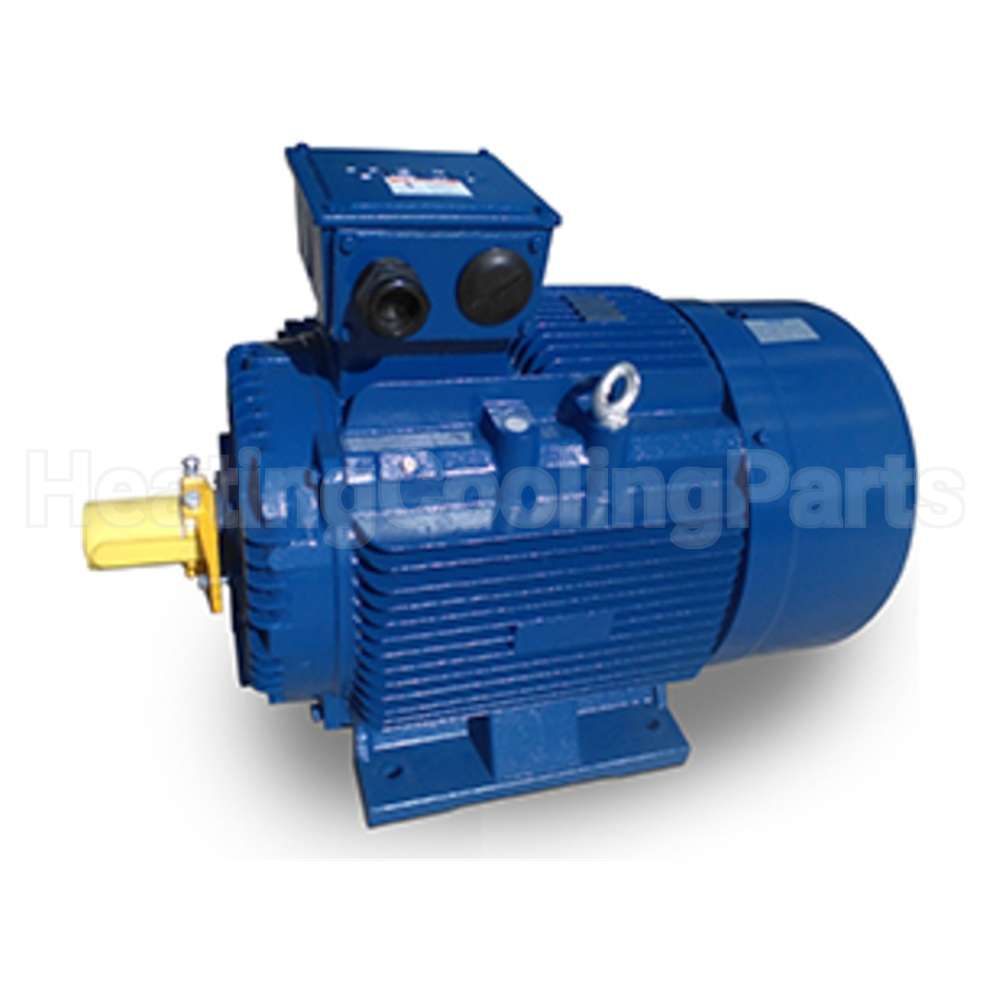 MP0042 Teco Motor
