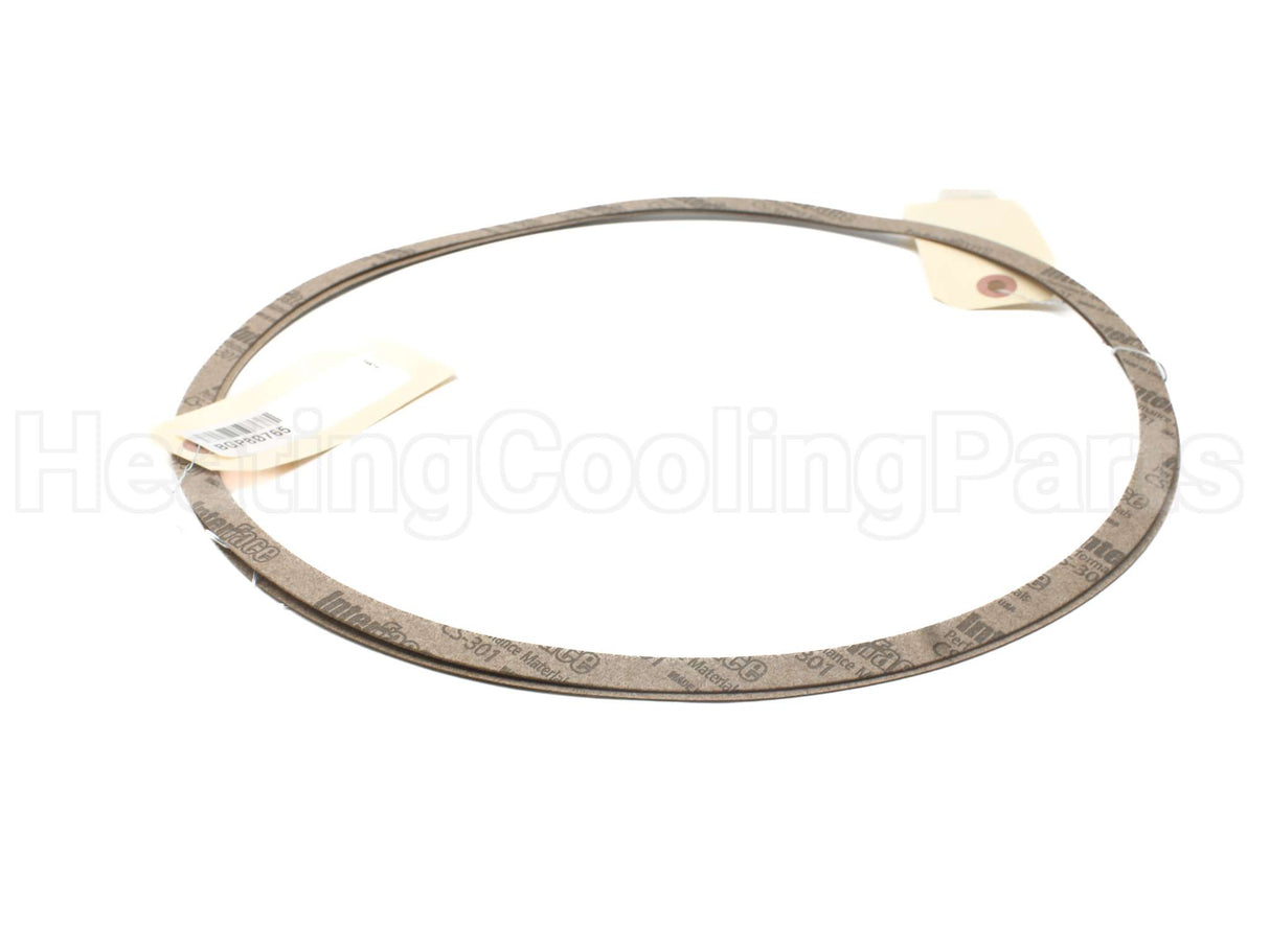 P80765 Xylem-Bell & Gossett Volute Gasket
