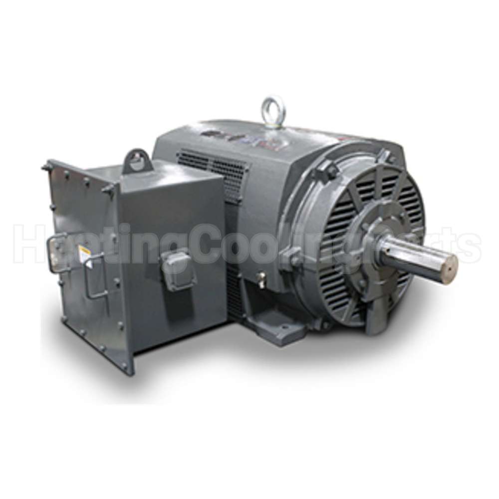 PG2506 Teco Medium Voltage Motor